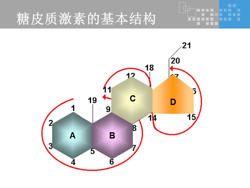 氟轻松是如何发挥其药理作用的？